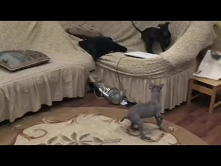 Sl mo vid 20201206 163651 mp4