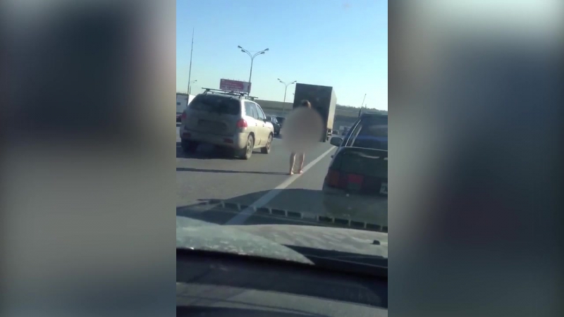 Девушка голышом прошлась на мкад