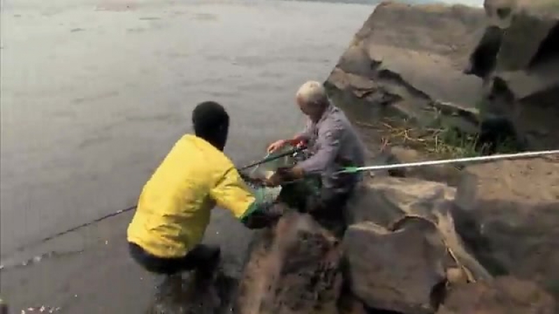 Известный рыбак джереми уэйд поймал редкую и опасную рыбу