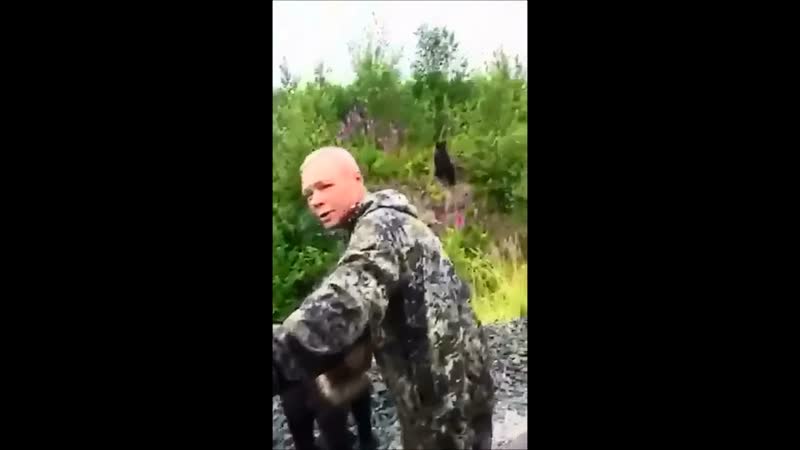 Мишки встретили рыбаков