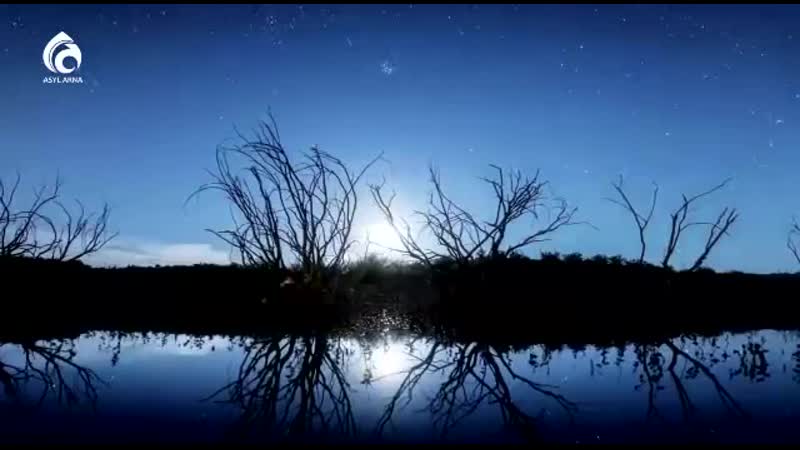 Қандай әдемі ролик еді!👍 рамазан қабыл болған тілектер, нұрға толған жүректер!!! / асыл арна