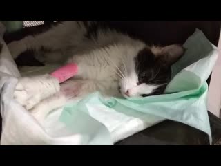 Пампушка в сотникова 28 05 2315