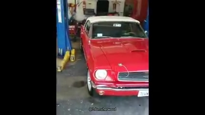 1966mustanggt350 @domsherwood1 losangeles ig universalservicestation