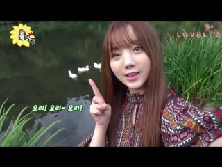 161102 | flower kei | 1cm cam