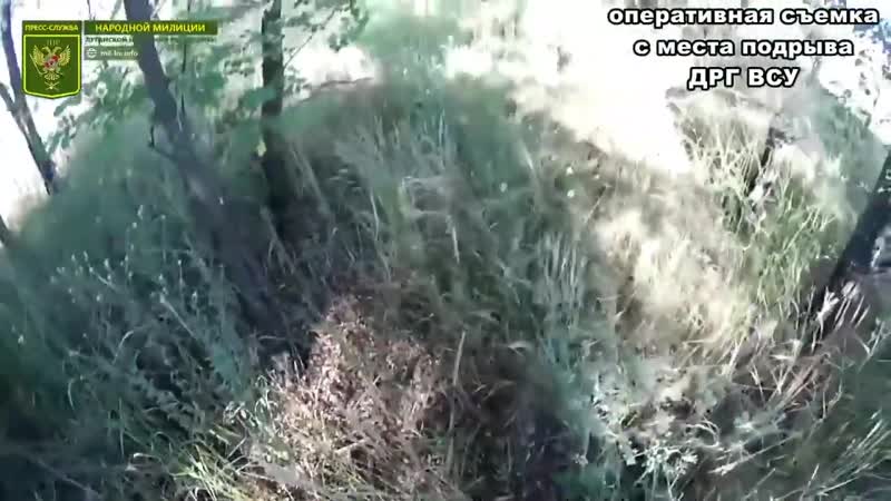 Уничтожен porn video – Уничтожен дрг укрофашистов всу