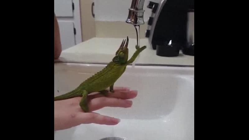 Он захотел потрогать водичку