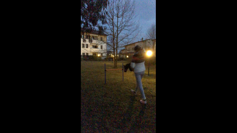 Live kht equestile | хоббихорсинг