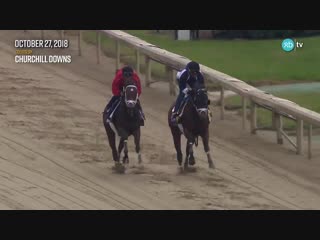 Vibrance outside axelrod worked 4f in 48 20 at churchilldowns on october 27th for trainer @mwmracing vibrance has been pre ente