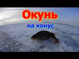 Зимняя рыбалка окунь на конус