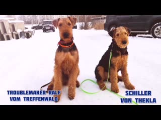 Ralf and schiller