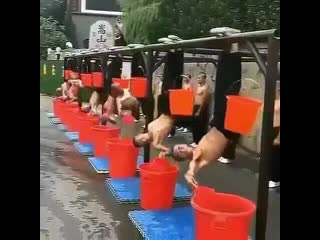 Интересная методега прокачки пресса