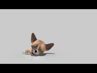 D1115f1c 308e 45c6 b0f3 17e52a36b551 chihuahua come moscas chihuahua eats fly