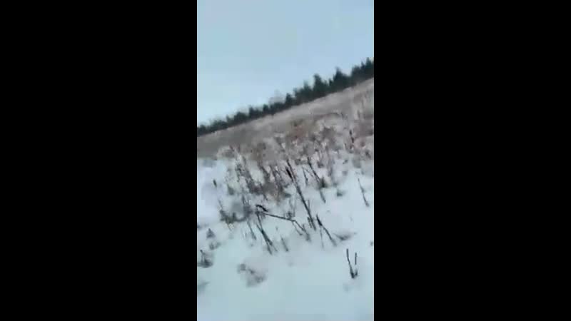 Факел (звук)