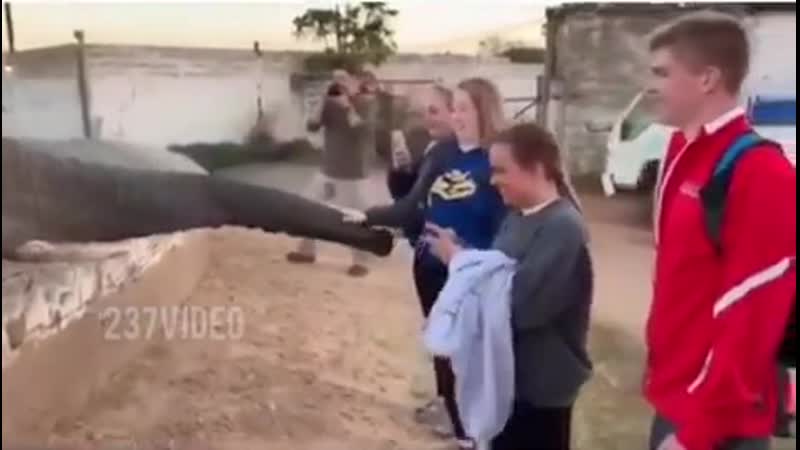Не фоткай меня