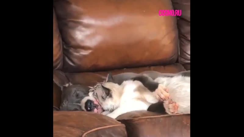 Утренние нежности разве так бывает?