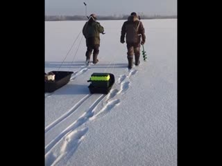 Краткость сестра таланта😂