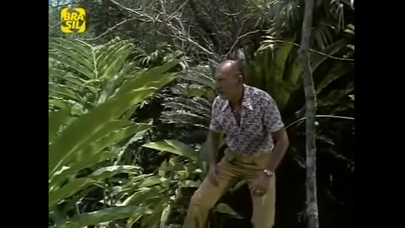 Machao porn video – A virgem e o machao