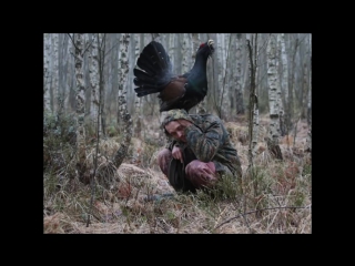 Глухарь, токующий на человеке (vhs video)