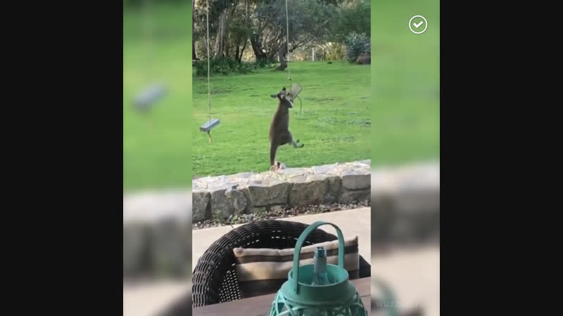 Если отрастил сильно большую попу