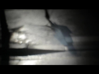 #lou #doillon i c u (clip officiel)