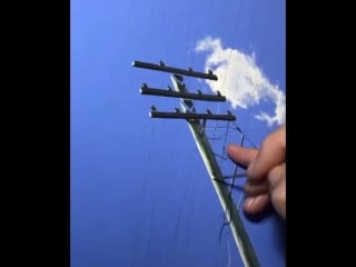 Amazing oil painting by niharika hukku !