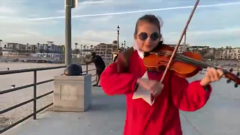 Coffin dance on violin karolina protsenko