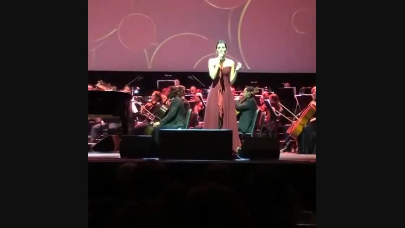 Бергюзар поет нарезка (07 01 2019)