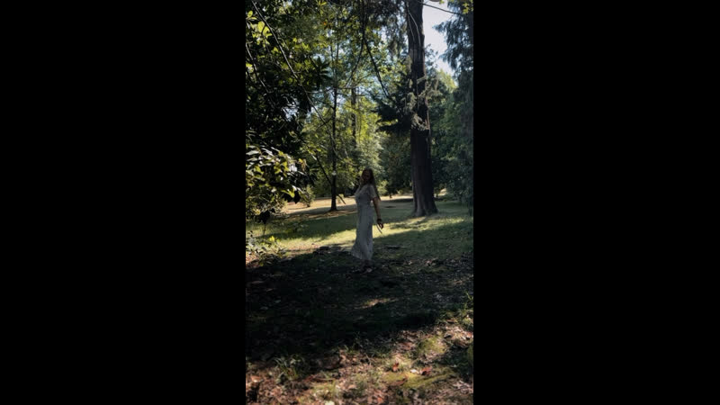 О моей деятельности…