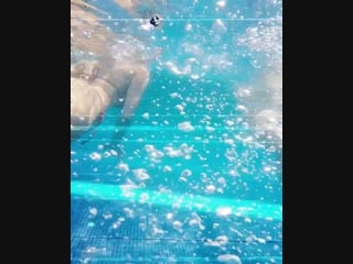 Instagram ohrangutang 50549218 1187503424756689 8019483104534069248 n mp4