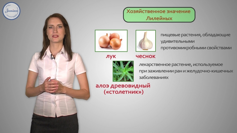 Биология porn video – 41 биология 6кл семейство лилейные