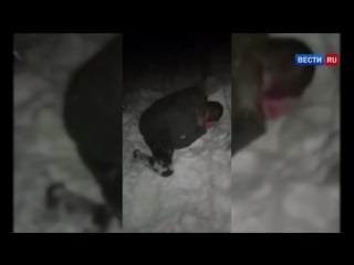 Воронежские охотники за головами отрезали палец закладчику за воровство молодые