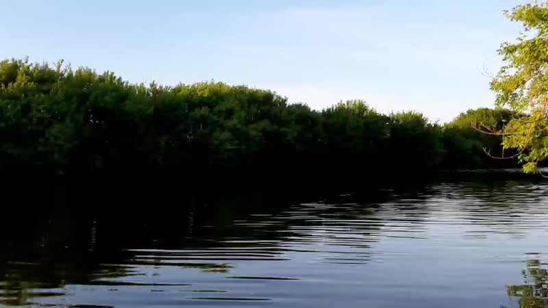 Любимая речка