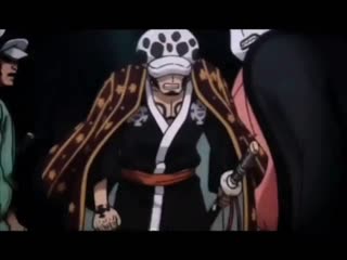 Trafalgar law { one piece } vine