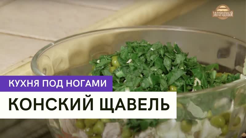 Конский щавель \ кухня под ногами