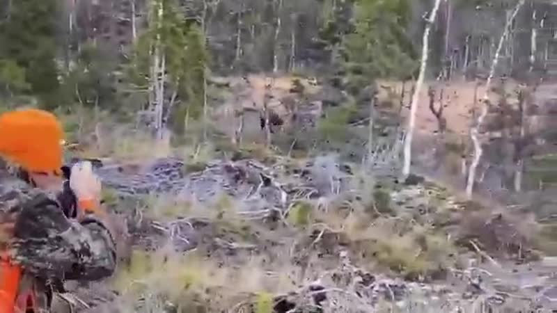 Неожиданная развязка😨18+