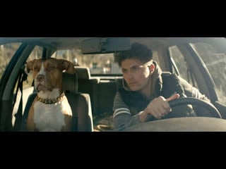 Цепной пёс | chien de la casse | 2023