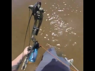 На рыбалку с луком