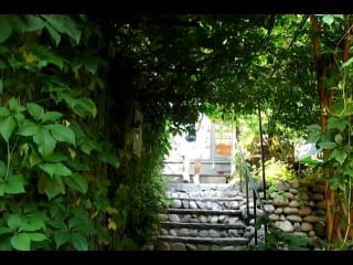 Thegang x koby видеоприглашение в клуб грибоедов 24 июля 2011