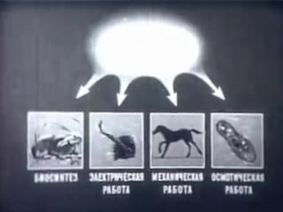 Научфильм биология фильм 6 обмен веществ и энергии в клетке