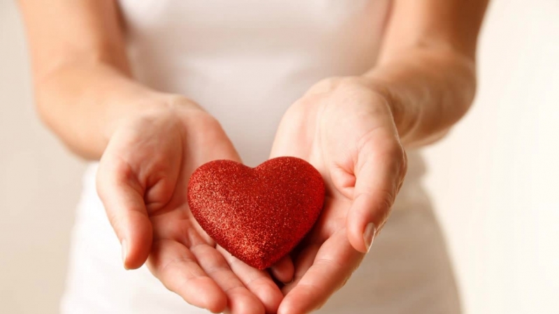 Live евролига улеб