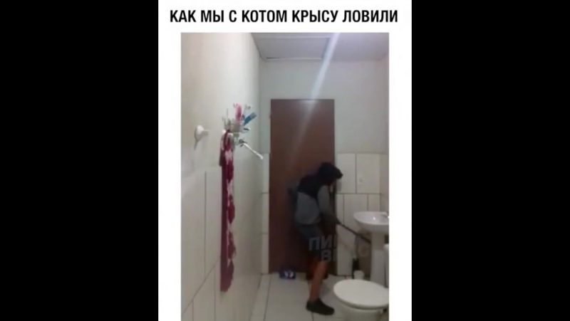 Охота на крысу
