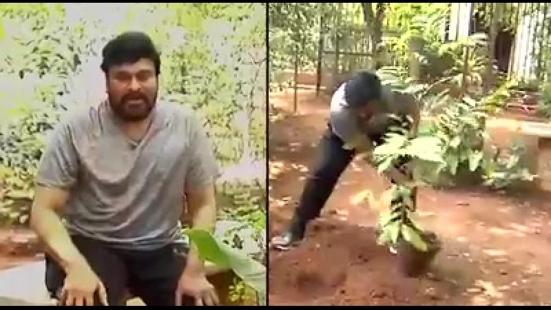 20180731 chiranjeevi mega star #chiranjeevi gaaru accepted the green challenge by @ntvteluguhd nar 2155716478018881
