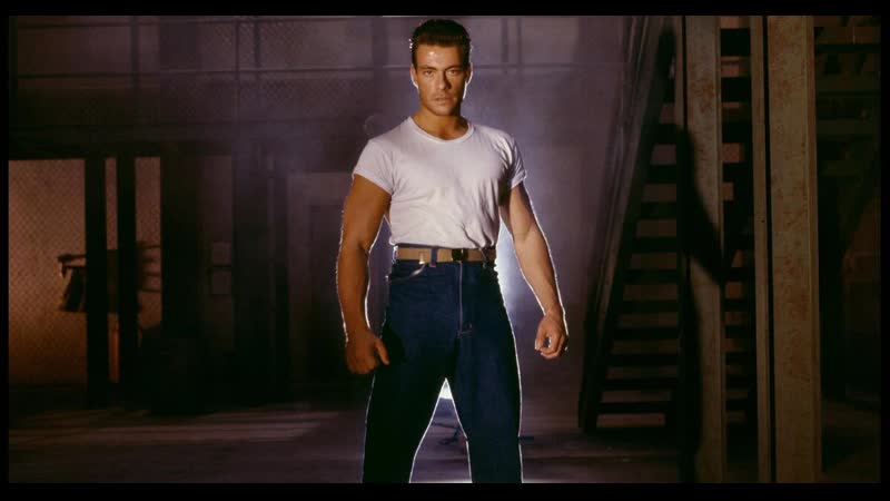 Jean claude van damme porn warrant | 1990 hd