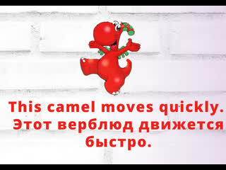 This camel moves quickly / этот верблюд движется быстро