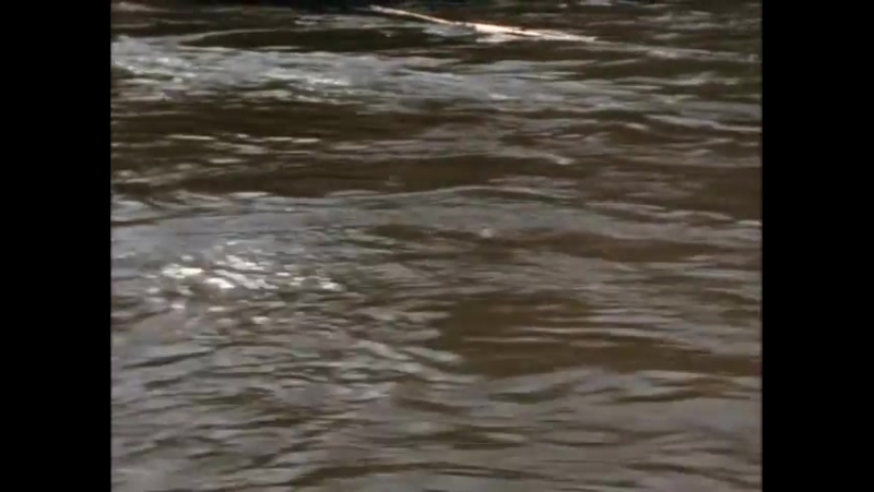 Повторное открытие мира #39 меконг тайны меконга