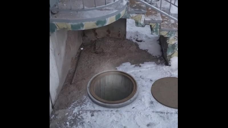 Петербургский осьминог гришка