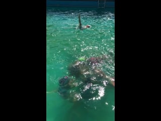 Дол молодёжный 2017г тренироа