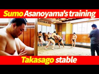 Асанояму называют горным хребтом real sumo in japan asanoyama is called the human mountain range visiting a sumo stable