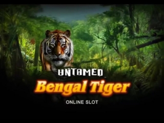 Untamed bengal tiger голдфишка