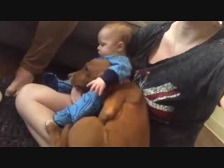 My friend got a new pupper and it loves her baby so much!🥰